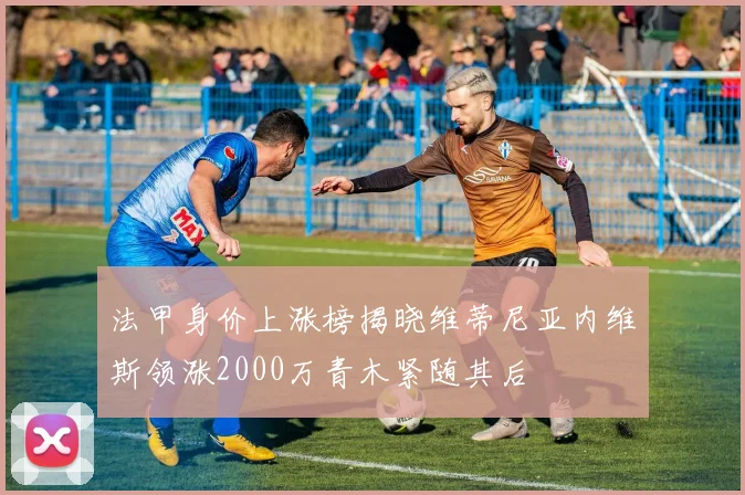 法甲身价上涨榜揭晓维蒂尼亚内维斯领涨2000万青木紧随其后
