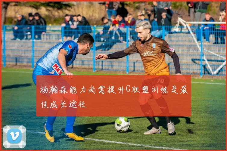 杨瀚森能力尚需提升G联盟训练是最佳成长途径