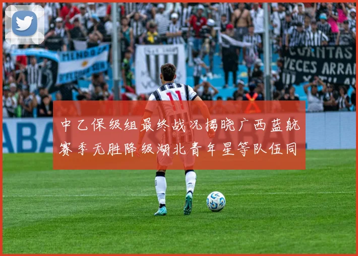 中乙保级组最终战况揭晓广西蓝航赛季无胜降级湖北青年星等队伍同遭降级