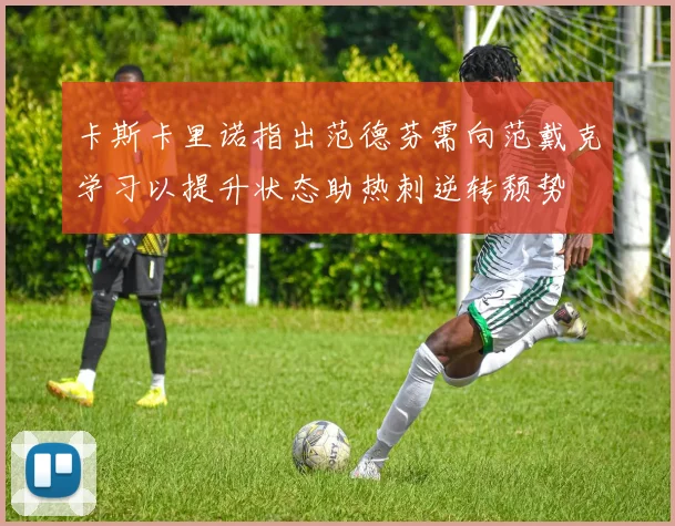 卡斯卡里诺指出范德芬需向范戴克学习以提升状态助热刺逆转颓势